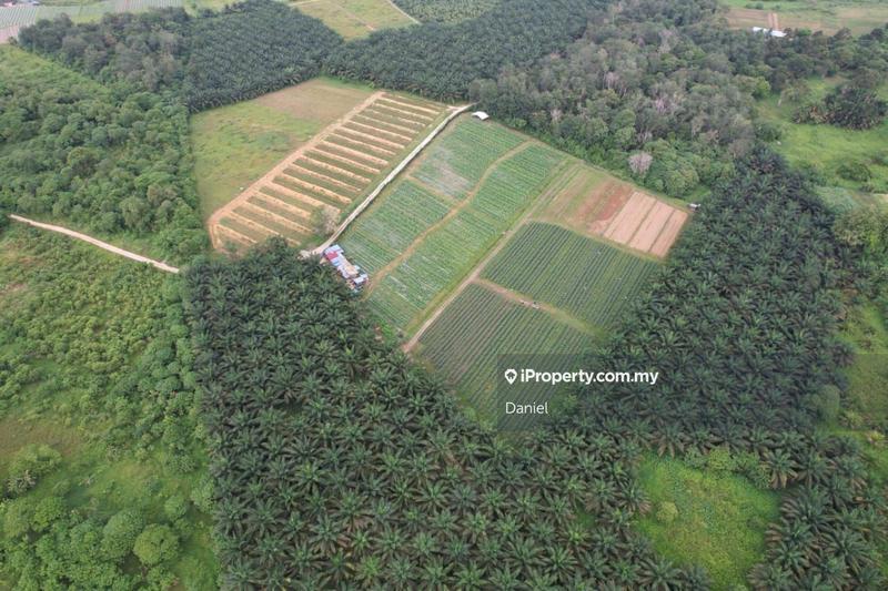 For Sale - Industrial Land, Batang Kali, Rasa, Serendah, Ulu Yam