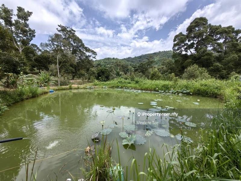 Tanah Pertanian untuk Dijual di Cheroh, Raub oleh Vincent Tee - iProperty.com.my