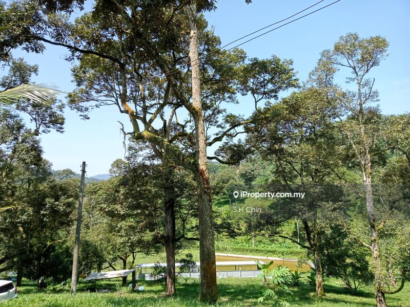 For Rent - Land for Fruits Orchard/ Eco Retreat/ Glamping Tents/ Agrotoursm