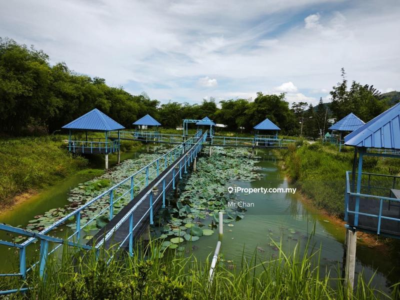 For Sale - Agriculture land