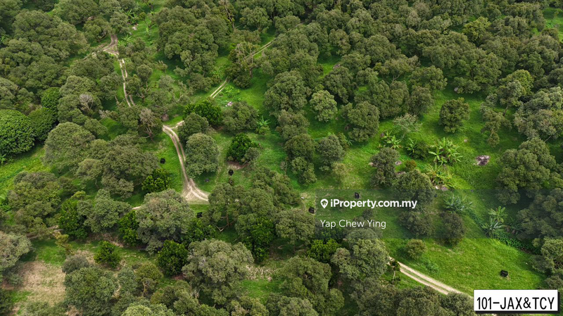 Tanah Pertanian untuk Dijual di Bandar Tras, Raub oleh Yap Chew Ying - iProperty.com.my
