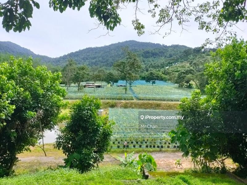 Tanah Pertanian untuk Dijual di Hulu Semenyih, Semenyih oleh Mr Chan - iProperty.com.my