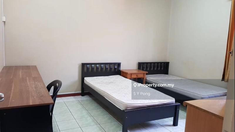 For Sale - Evergreen Park Scot Pine