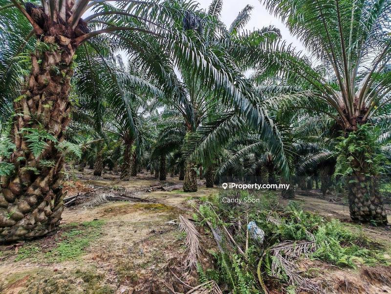 Tanah Pertanian untuk Dijual di Taman Rembau Utama, Rembau oleh Candy Soon - iProperty.com.my