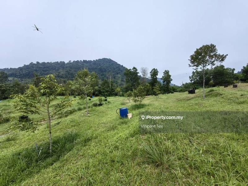 Tanah Pertanian untuk Dijual di Kampung Renal, Kuala Klawang oleh Vincent Tee - iProperty.com.my