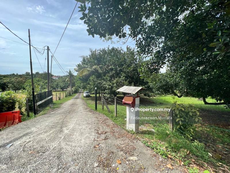 For Sale - Kuang