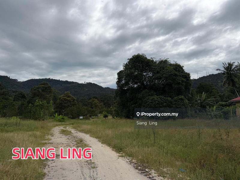 Agricultural Land for Sale in Balik Pulau, Penang by Siang Ling - iProperty.com.my