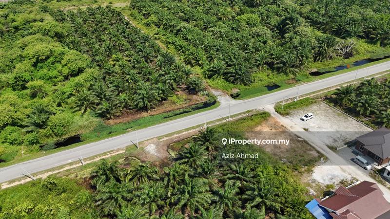 Agricultural Land for Sale in Kampung Jenjarom, Jenjarom by Aziz Ahmad - iProperty.com.my