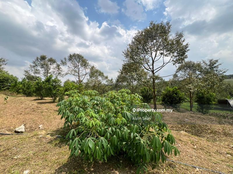 Tanah Pertanian untuk Dijual di Senai, Johor oleh Alvin Seah - iProperty.com.my