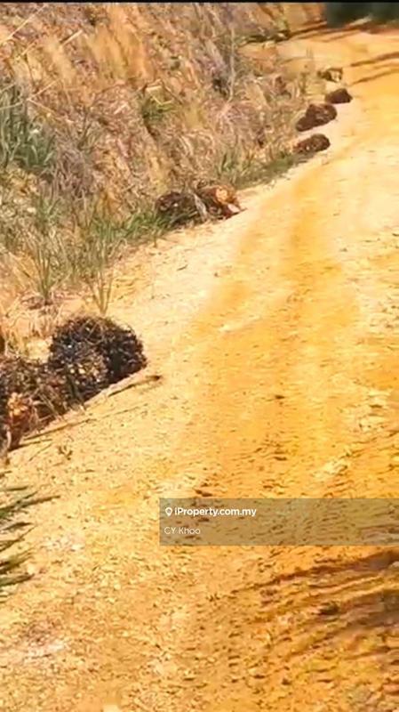 For Sale - Kelantan Gua Musang Ulu Nenggiri Bertam 432 acres Palm oil Land for SALE