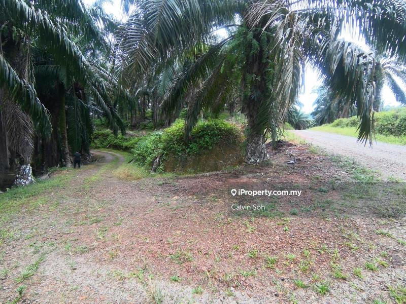 Tanah Pertanian untuk Dijual di Karak, Pahang oleh Calvin Soh - iProperty.com.my