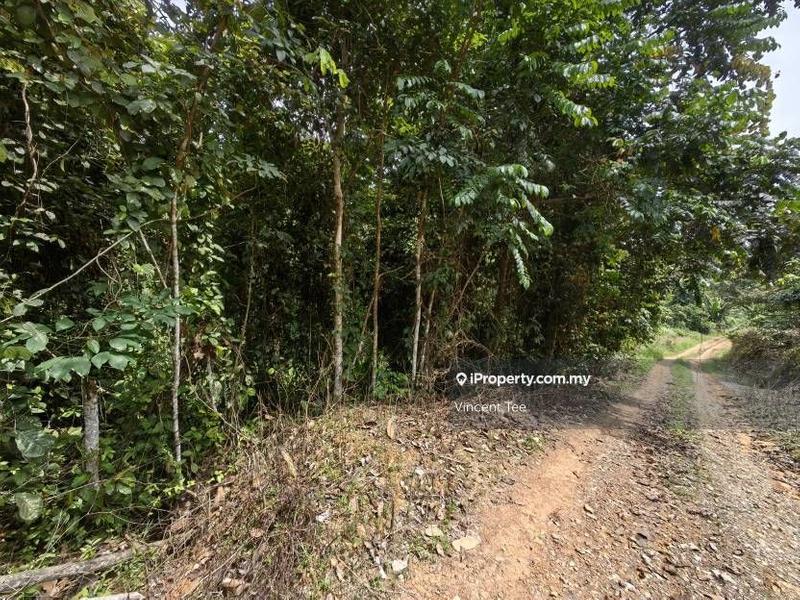 Agricultural Land for Sale in Bandar Lipis, Kuala Lipis by Vincent Tee - iProperty.com.my