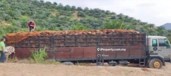 Tanah Pertanian untuk Dijual di Taman Gua Musang, Gua Musang oleh CY Khoo - iProperty.com.my