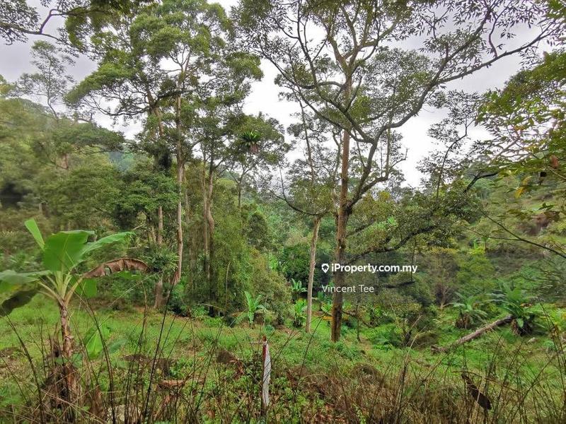 Tanah Pertanian untuk Dijual di Bukit Relau, Balik Pulau oleh Vincent Tee - iProperty.com.my