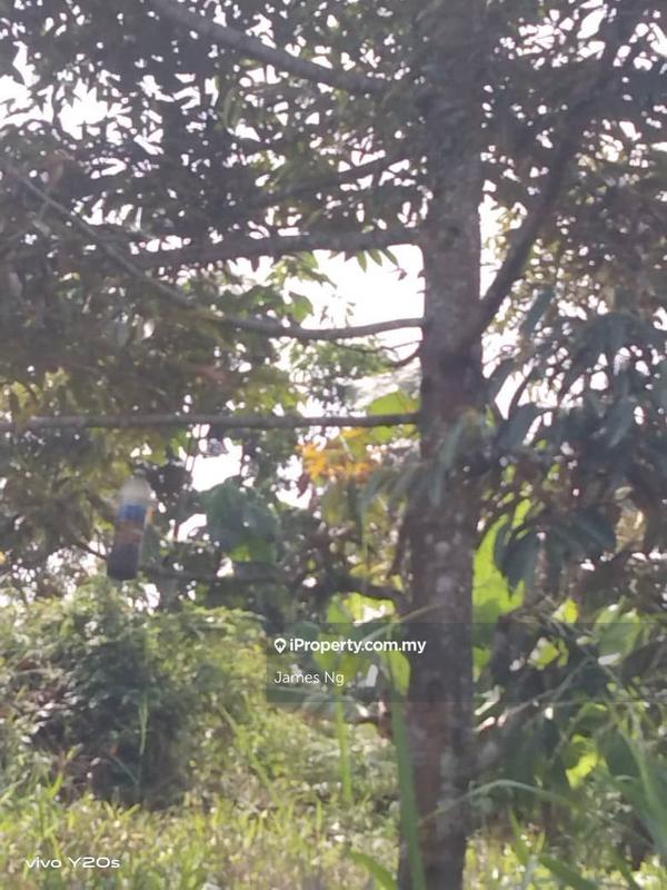 Tanah Pertanian untuk Dijual di Seri Telemong, Telemong oleh James Ng - iProperty.com.my