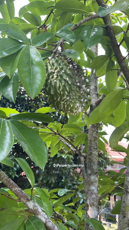 Banglo untuk Dijual di Bandar Tiram, Ulu Tiram oleh Fion - iProperty.com.my