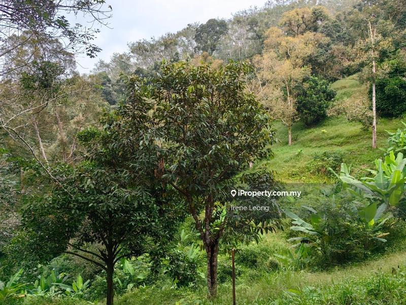 Agricultural Land for Sale in Karak, Pahang by Irene Leong - iProperty.com.my