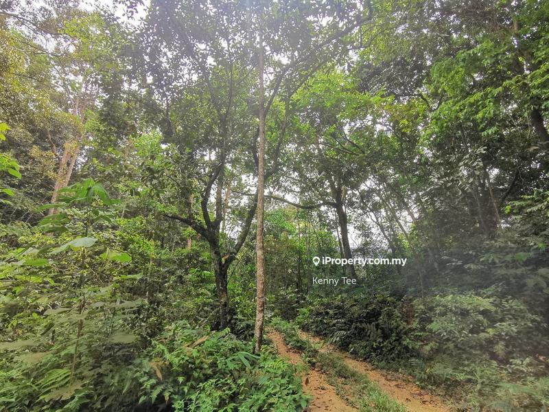 Agricultural Land for Sale in Ampangan, Seremban by Kenny Tee - iProperty.com.my