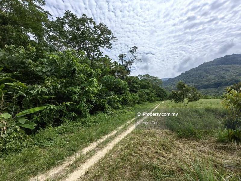 Tanah Pertanian untuk Dijual di Kampung Sungai Lalang, Semenyih oleh Vincent Tee - iProperty.com.my