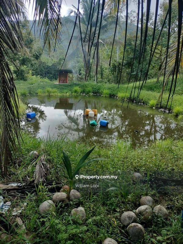 Agricultural Land for Sale in Sungai Ruan, Raub by William Looi - iProperty.com.my