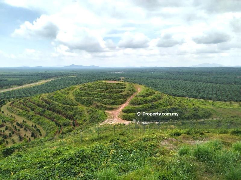For Sale - 997 Acres Palm Manor Land @ Yong Peng To Paloh