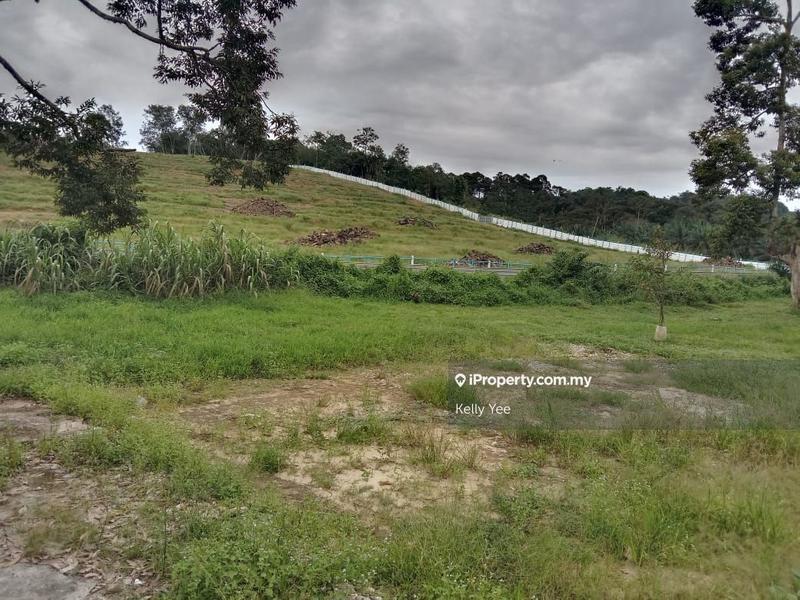 Agricultural Land for Sale in Machang Bubok, Bukit Mertajam by Kelly Yee - iProperty.com.my