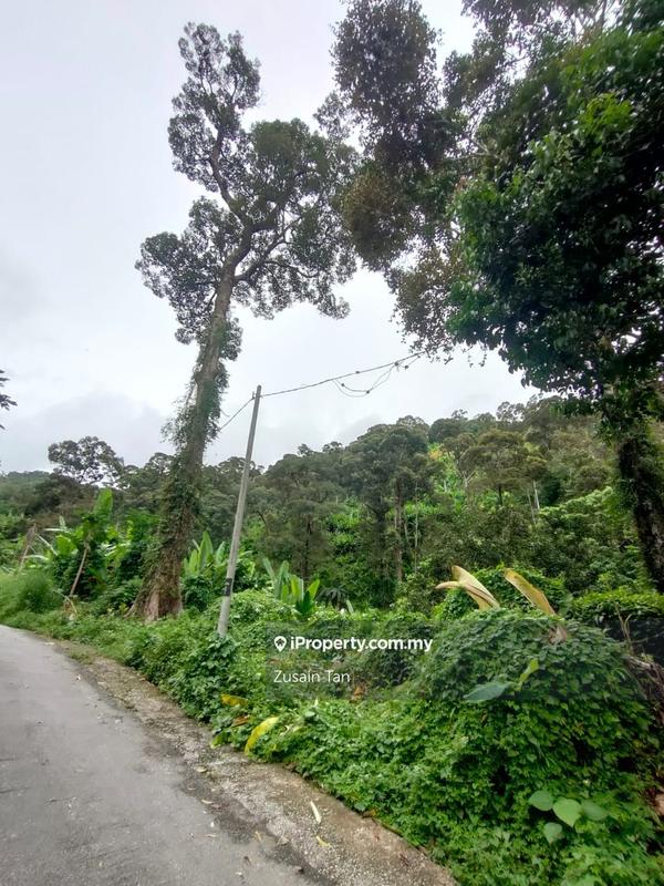 Agricultural Land for Sale in Kampung Titi Serong, Balik Pulau by Zusain Tan - iProperty.com.my