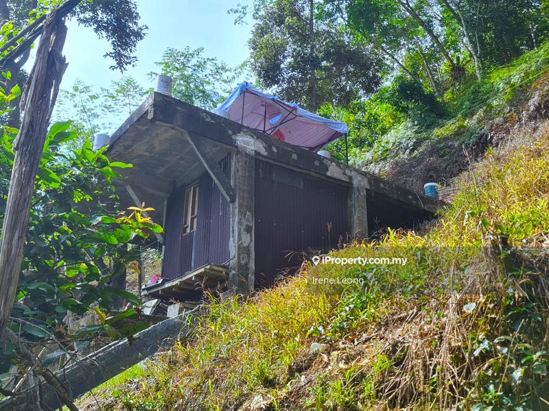 Agricultural Land for Sale in Bentong, Pahang by Irene Leong - iProperty.com.my