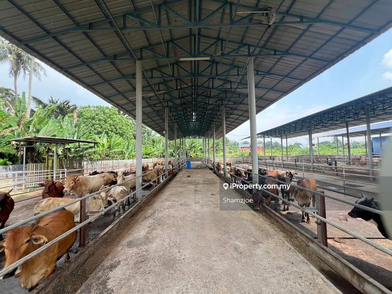 Tanah Pertanian untuk Dijual di Bangi, Bangi oleh Shamzjoe - iProperty.com.my