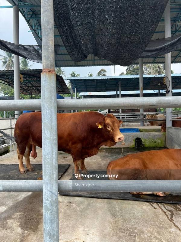Tanah Pertanian untuk Dijual di Bangi, Bangi oleh Shamzjoe - iProperty.com.my