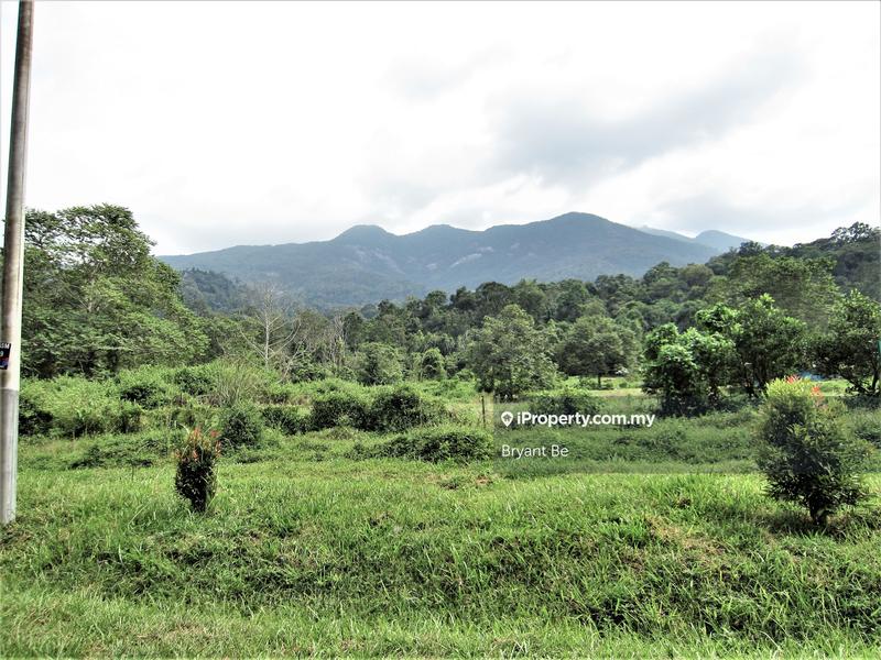 Agricultural Land for Sale in Tangkak, Johor by Bryant Be - iProperty.com.my