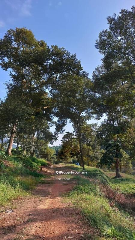 Agricultural Land for Sale in Taman Jelebu, Kuala Klawang by Ken Tham - iProperty.com.my