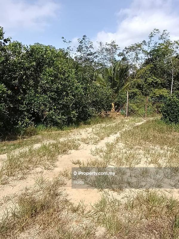 Agricultural Land for Sale in Dangi, Johol by Huda - iProperty.com.my