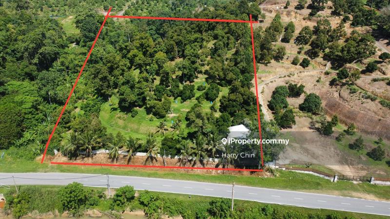 For Sale - 4 Acres Beside Main Road Mature Durian Land