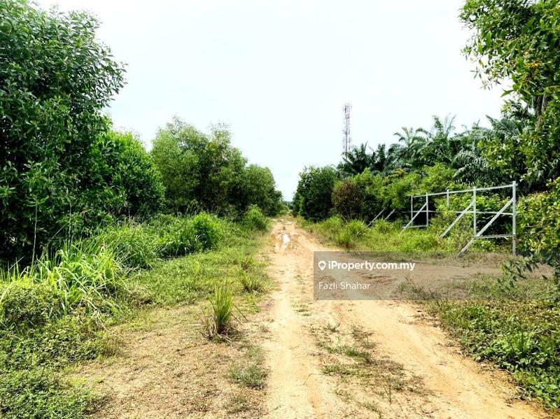 Agricultural Land for Sale in Saujana KLIA, Kota Warisan, Sepang by Fazli Shahar - iProperty.com.my