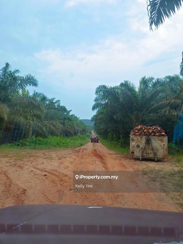 Agricultural Land for Sale in Paloh, Kluang by Kelly Yee - iProperty.com.my