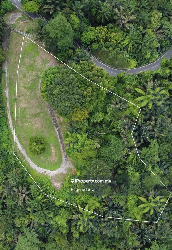Tanah Kediaman untuk Dijual di Bukit Tunku, Bukit Tunku (Kenny Hills) oleh Eugene Liew - iProperty.com.my