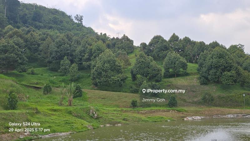 Tanah Pertanian untuk Dijual di Kampung Sungai Tekali, Hulu Langat oleh Jimmy Goh - iProperty.com.my
