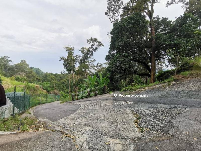 Tanah Pertanian untuk Dijual di Bukit Relau, Balik Pulau oleh Vincent Tee - iProperty.com.my