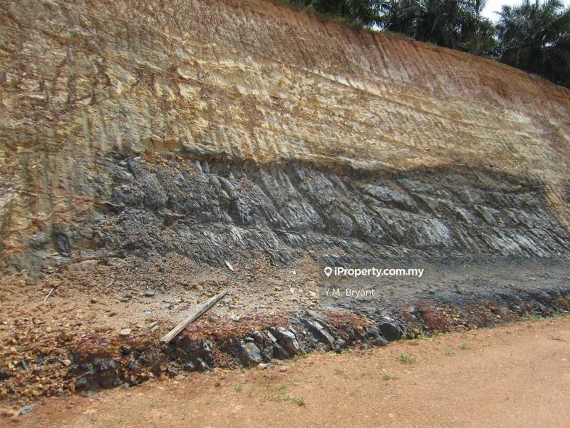 Agricultural Land for Sale in TAMPIN, Asahan by Bryant Be - iProperty.com.my