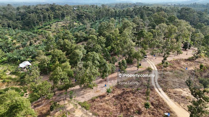 Agricultural Land for Sale in Karak, Pahang by Irene Leong - iProperty.com.my