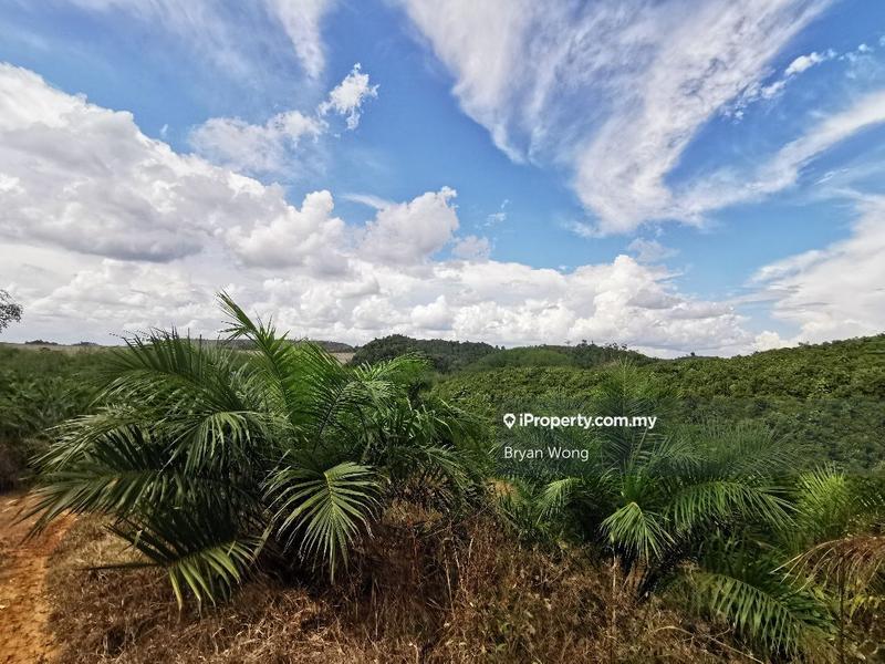 Agricultural Land for Sale in Penjom, Kuala Lipis Agriculture Land, Pahang, Raub by Bryan Wong - iProperty.com.my