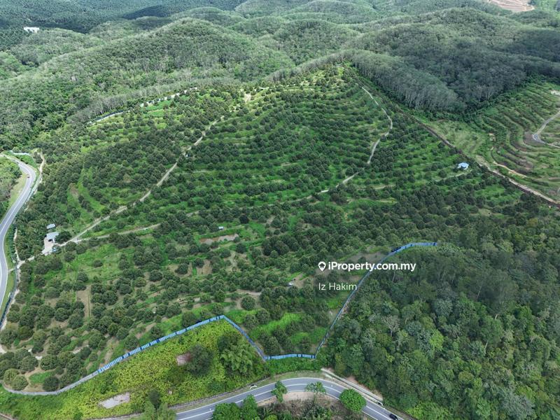 Tanah Pertanian untuk Dijual di Kerling, Selangor oleh Iz Hakim - iProperty.com.my