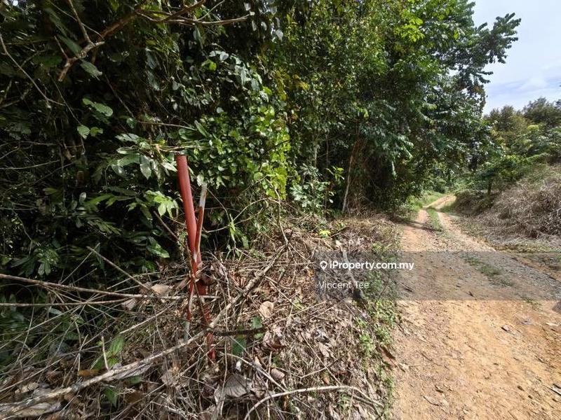 Agricultural Land for Sale in Bandar Lipis, Kuala Lipis by Vincent Tee - iProperty.com.my