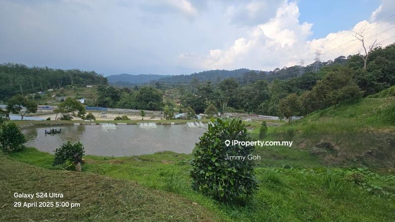 Tanah Pertanian untuk Dijual di Kampung Sungai Tekali, Hulu Langat oleh Jimmy Goh - iProperty.com.my