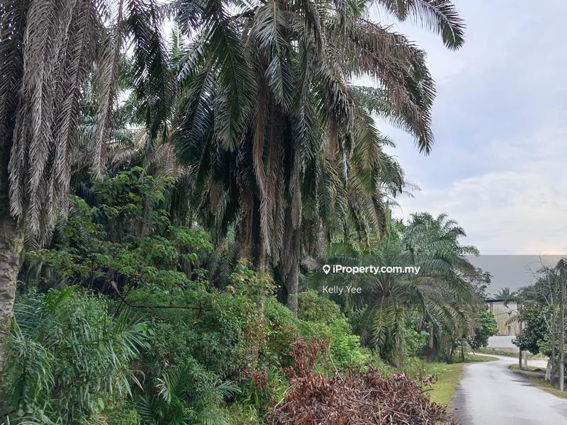 Tanah Pertanian untuk Dijual di Kampung Ladang Sempah, Sungai Jawi oleh Kelly Yee - iProperty.com.my
