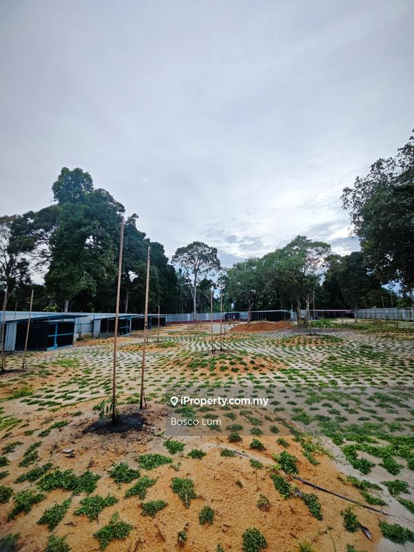 For Sale - 1.15 acre Agriculture land, Nibong Tebal @ Seberang Perai Selatan