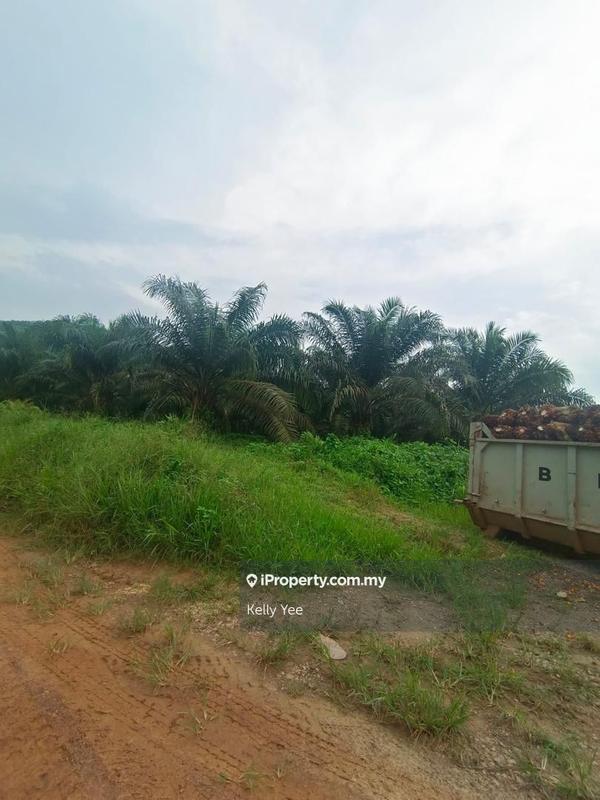 Agricultural Land for Sale in Paloh, Kluang by Kelly Yee - iProperty.com.my
