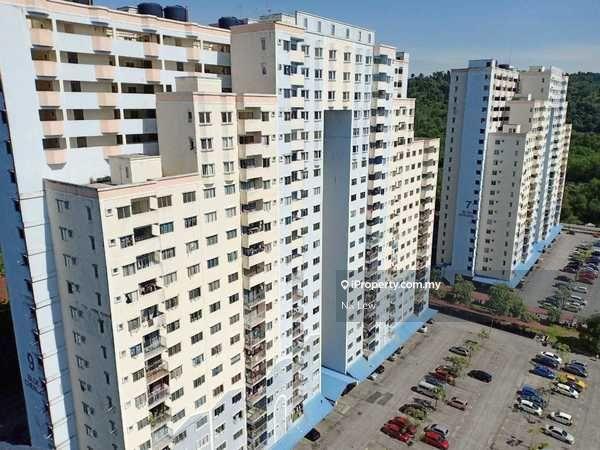 For Sale - Desaminium Rimba