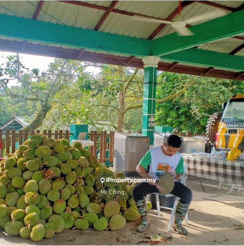 Agricultural Land for Sale in Raub Pahang, Raub by Mr Ching - iProperty.com.my